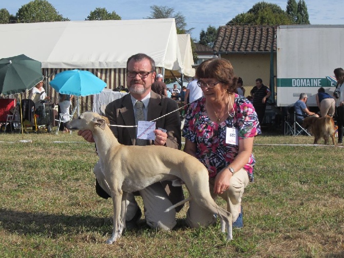 Des coteaux de l'igneraie - Exposition nationale Sorges en périgord