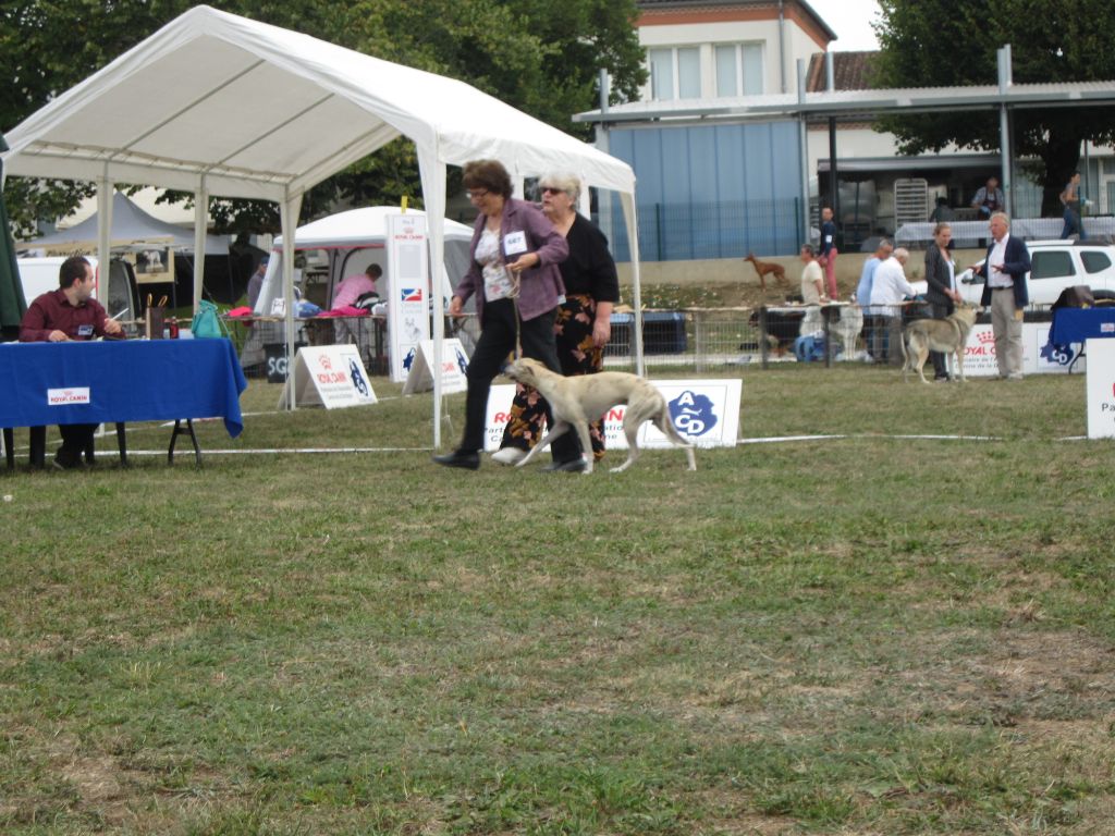 Des coteaux de l'igneraie - expo Sorges