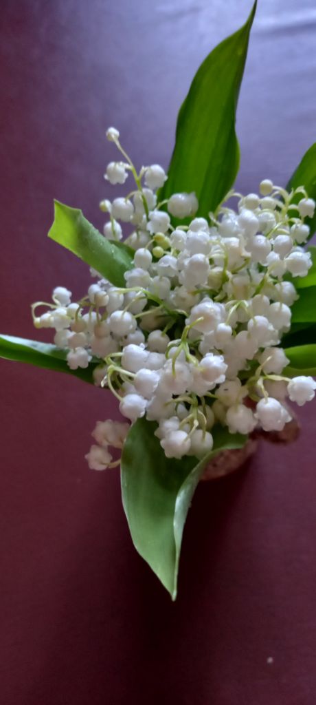 bon 1er mai